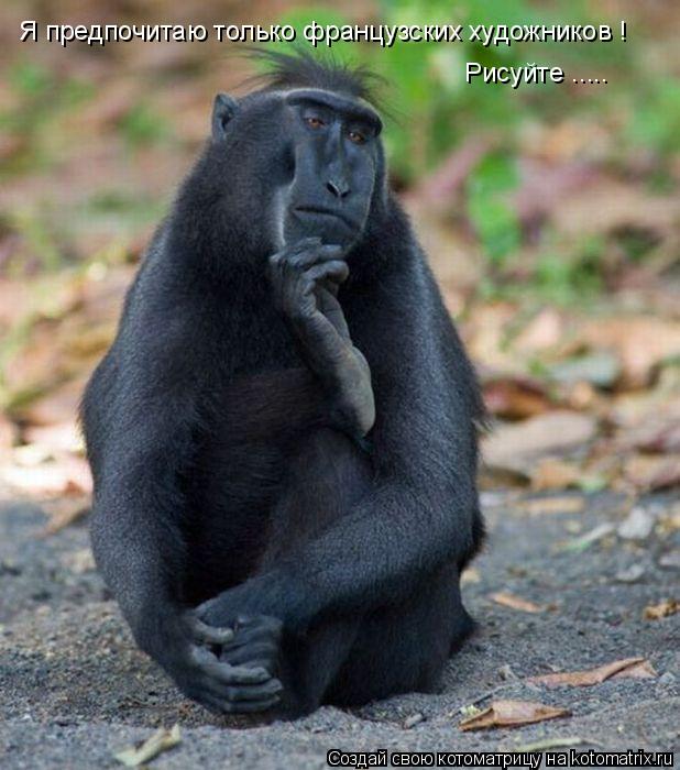 Котоматрица: Я предпочитаю только французских художников ! Рисуйте .....
