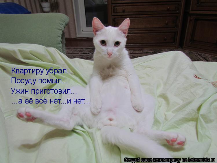 Котоматрица: Квартиру убрал... Посуду помыл... Ужин приготовил... ...а её всё нет...и нет...