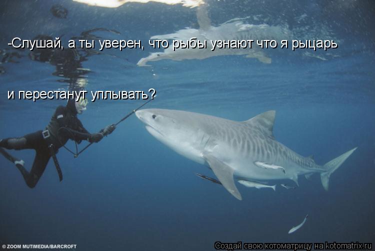 Котоматрица: -Слушай, а ты уверен, что рыбы узнают что я рыцарь  и перестанут уплывать?