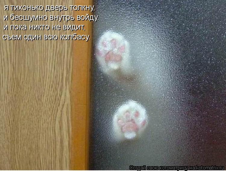 Котоматрица: я тихонько дверь толкну, и бесшумно внутрь войду. и пока никто не видит, съем один всю колбасу.