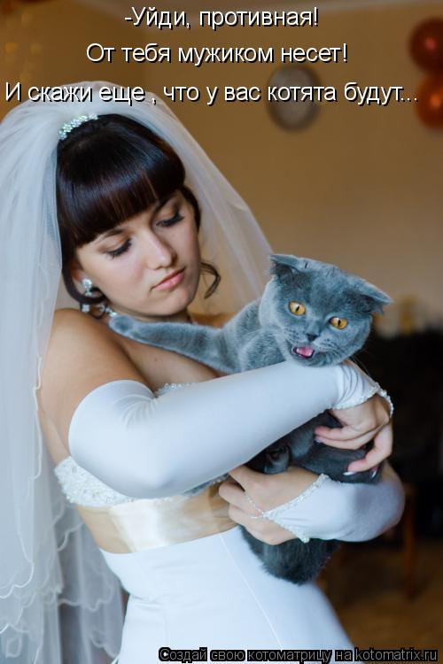 Котоматрица: -Уйди, противная!  От тебя мужиком несет! И скажи еще , что у вас котята будут...