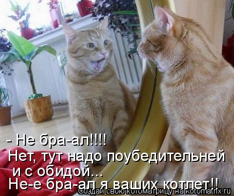 - Не бра-ал!!!! Нет, тут надо поубедительней и с обидой... Не-е бра-ал я ваших котлет!!... Котоматрица: - Не бра-ал!!!! Нет, тут надо поубедительней и с обидой... Не-е бра-ал я ваших котлет!!