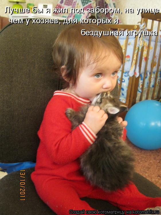Котоматрица: Лучше бы я жил под забором, на улице чем у хозяев, для которых я  бездушная игрушка