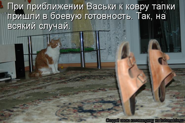 При приближении Васьки к ковру тапки пришли в боевую готовность. Так, на всякий случай.... Котоматрица: При приближении Васьки к ковру тапки пришли в боевую готовность. Так, на всякий случай.