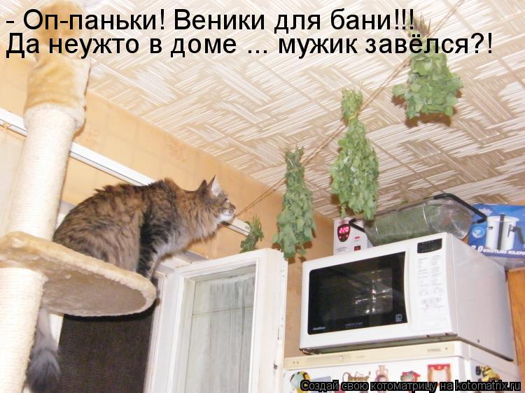 - Оп-паньки! Веники для бани!!! Да неужто в доме ... мужик завёлся?!... Котоматрица: - Оп-паньки! Веники для бани!!! Да неужто в доме ... мужик завёлся?!