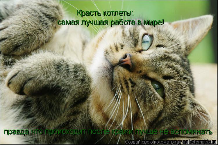 Котоматрица: Красть котлеты: самая лучшая работа в мире! правда что происходит после кражи лучше не вспоминать