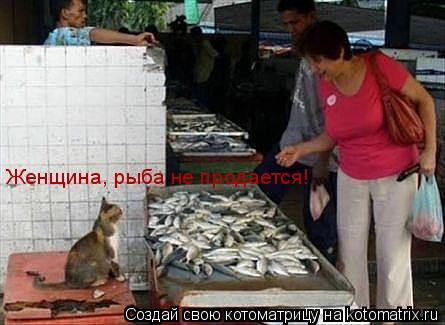 Котоматрица: Женщина, рыба не продается!