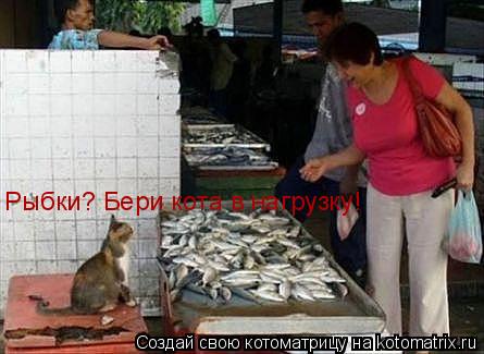 Котоматрица: Рыбки? Бери кота в нагрузку!
