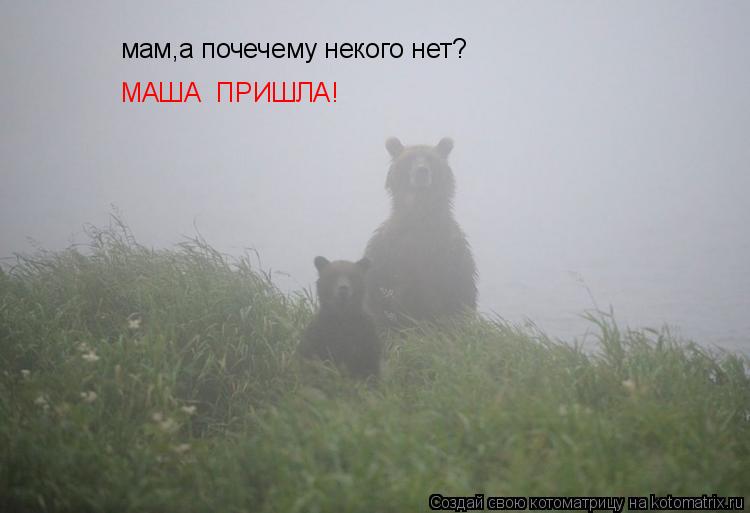 Котоматрица: мам,а почечему некого нет? МАША  ПРИШЛА!