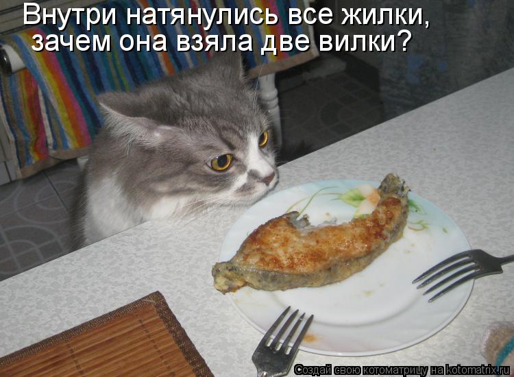 Внутри натянулись все жилки, зачем она взяла две вилки?... Котоматрица: Внутри натянулись все жилки, зачем она взяла две вилки?