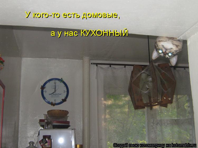 Котоматрица: У кого-то есть домовые, а у нас КУХОННЫЙ