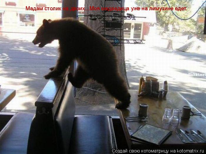Котоматрица: Мадам столик на двоих...Моя медведица уже на лимузине едет.