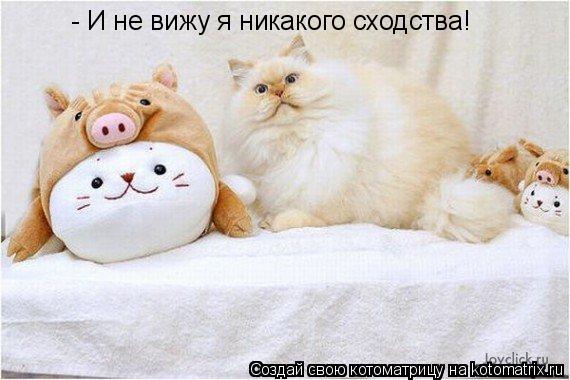 Котоматрица: - И не вижу я никакого сходства!