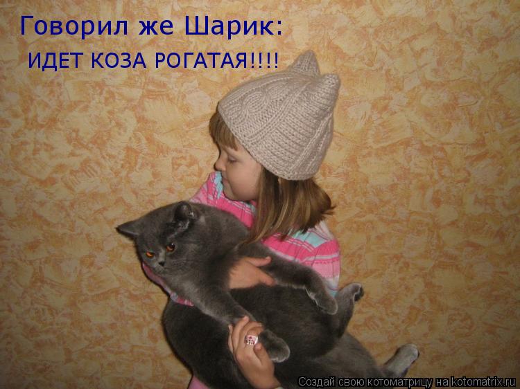 Котоматрица: Говорил же Шарик: ИДЕТ КОЗА РОГАТАЯ!!!!