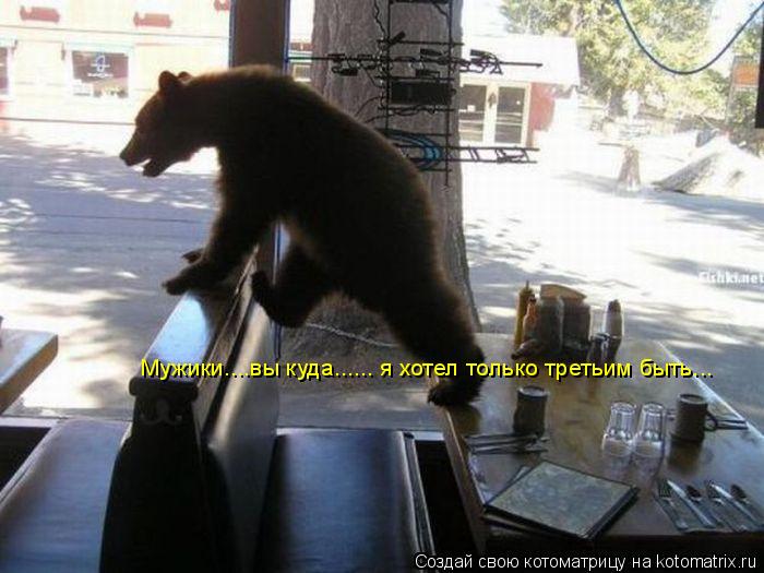 Котоматрица: Мужики....вы куда...... я хотел только третьим быть...