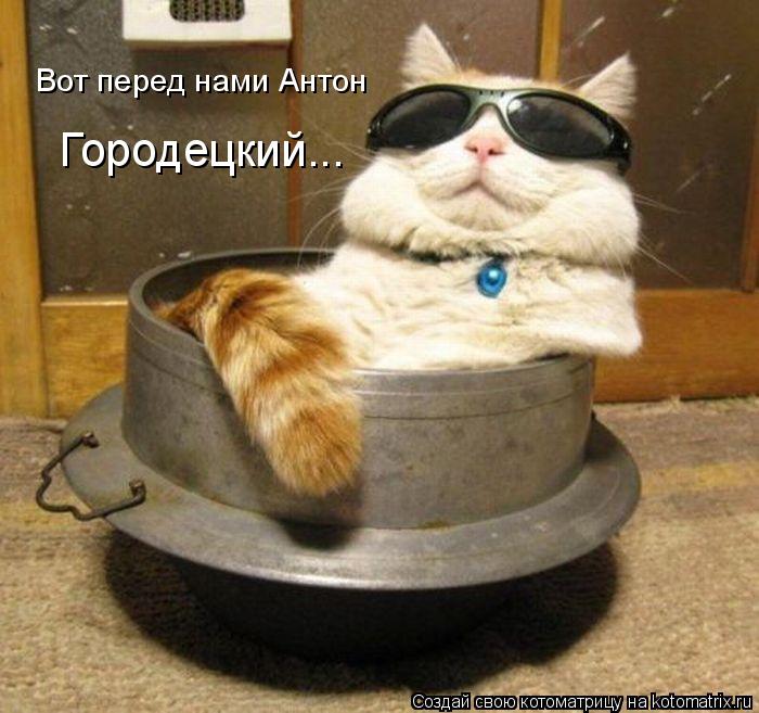 Котоматрица: Вот перед нами Антон Городецкий...