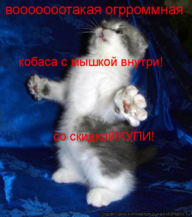 Котоматрица: вооооооотакая огрроммная кобаса с мышкой внутри! со скидкой! со скидкой! со скидкой!КУПИ!