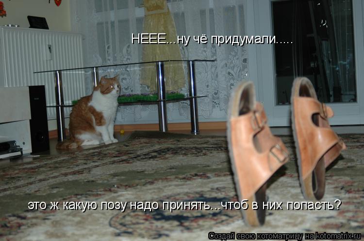 Котоматрица: НЕЕЕ...ну чё придумали..... это ж какую позу надо принять...чтоб в них попасть?