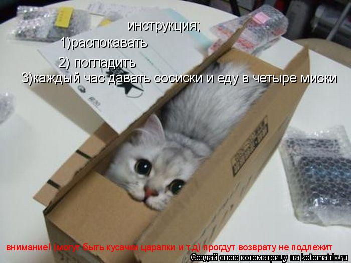 Котоматрица: инструкция; 1)распокавать 2) погладить 3)каждый час давать сосиски и еду в четыре миски внимание! (могут быть кусачки царапки и т.д) прогдут во