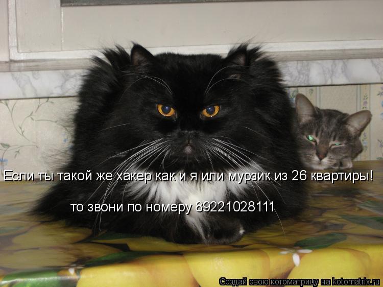 Котоматрица: Если ты такой же хакер как и я или мурзик из 26 квартиры! то звони по номеру 89221028111