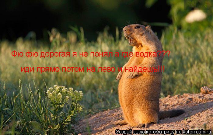 Фю фю дорогая я не понял а где водка??? иди прямо потом на лево и найдешь!!!... Котоматрица: Фю фю дорогая я не понял а где водка??? иди прямо потом на лево и найдешь!!!