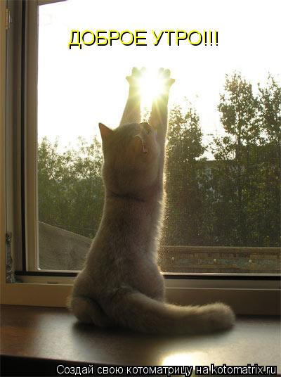 Котоматрица: ДОБРОЕ УТРО!!!