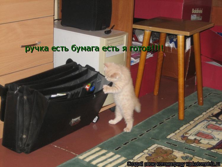 Котоматрица: ручка есть бумага есть я готов!!!!
