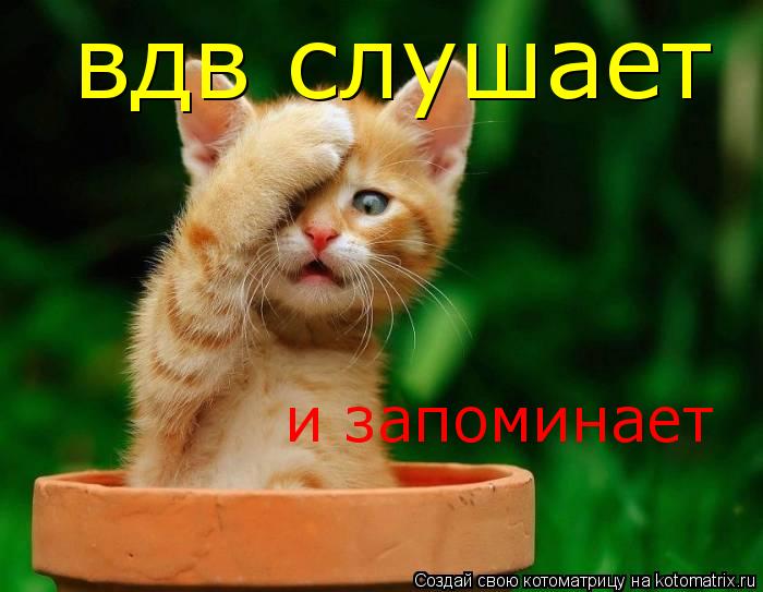 Котоматрица: вдв слушает и запоминает