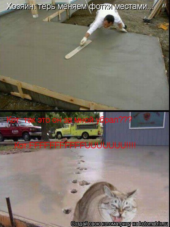 Котоматрица: Хозяин: терь меняем фотки местами... Кот: так это он за мной убрал??? Кот:FFFFFFFFFFFUUUUUUU!!!!