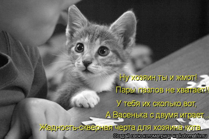 Ну хозяин,ты и жмот! Пары пазлов не хватает!!! У тебя их сколько,вот, А Васенька с двумя играет... Жа... Котоматрица: Ну хозяин,ты и жмот! Пары пазлов не хватает!!! У тебя их сколько,вот, А Васенька с двумя играет... Жадность-скверная черта для хозяина кота.
