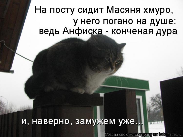 Котоматрица: На посту сидит Масяня хмуро,  у него погано на душе: ведь Анфиска - конченая дура и, наверно, замужем уже...