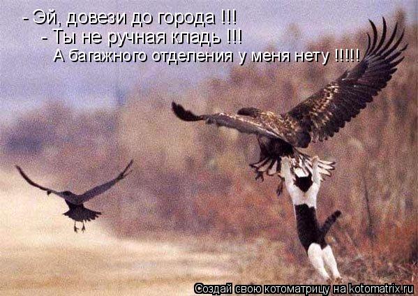 Котоматрица: - Эй, довези до города !!! - Ты не ручная кладь !!! А багажного отделения у меня нету !!!!!