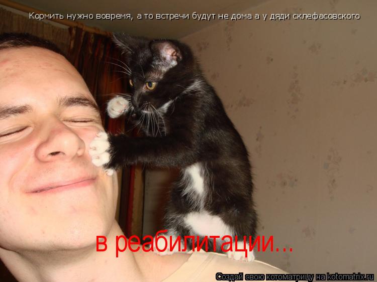 Котоматрица: Кормить нужно вовремя, а то встречи будут не дома а у дяди склефасовского в реабилитации...