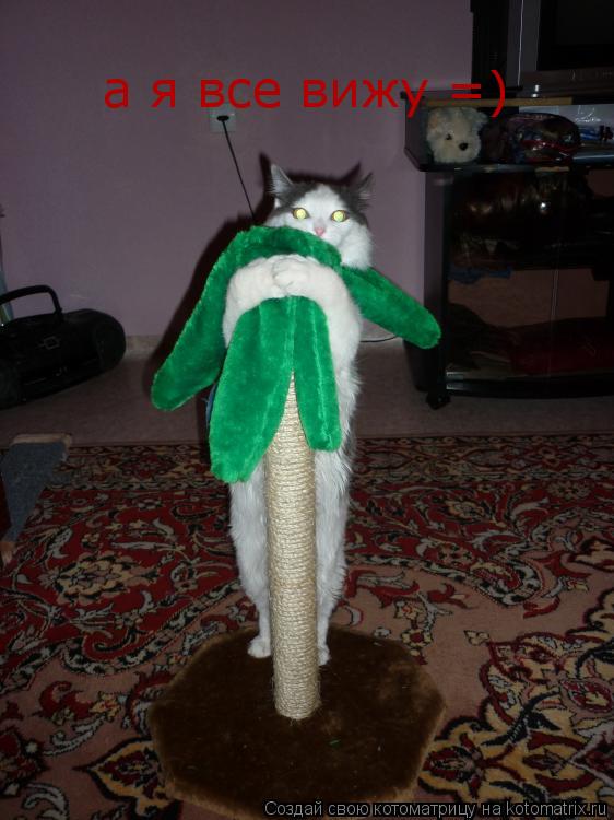 Котоматрица: а я все вижу =)