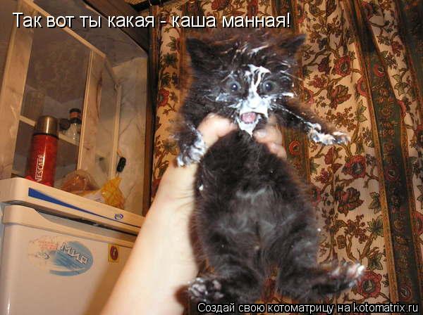 Котоматрица: Так вот ты какая - каша манная!