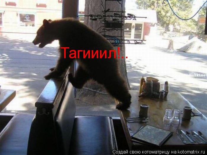 Котоматрица: Тагииил!..