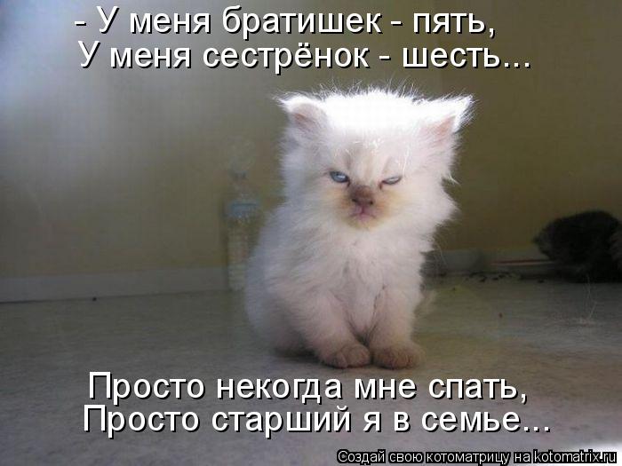 - У меня братишек - пять, У меня сестрёнок - шесть... Просто некогда мне спать, Просто старший я в се... Котоматрица: - У меня братишек - пять, У меня сестрёнок - шесть... Просто некогда мне спать, Просто старший я в семье...