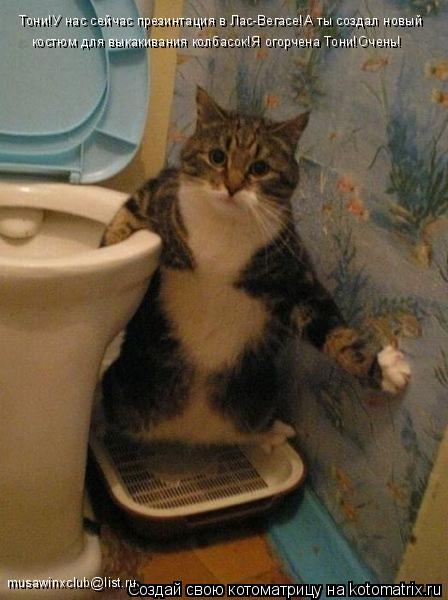 Котоматрица: Тони!У нас сейчас презинтация в Лас-Вегасе!А ты создал новый костюм для выкакивания колбасок!Я огорчена Тони!Очень! musawinxclub@list.ru
