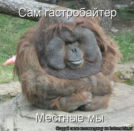 Котоматрица: Сам гастробайтер Местные мы