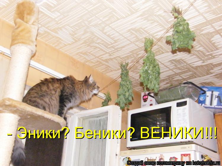 Котоматрица: - Эники? Беники? ВЕНИКИ!!!
