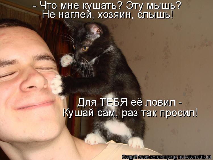 Котоматрица: - Что мне кушать? Эту мышь? Не наглей, хозяин, слышь! Для ТЕБЯ её ловил -  Кушай сам, раз так просил!