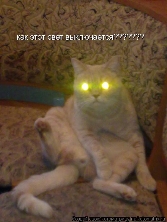 Котоматрица: как этот свет выключается???????