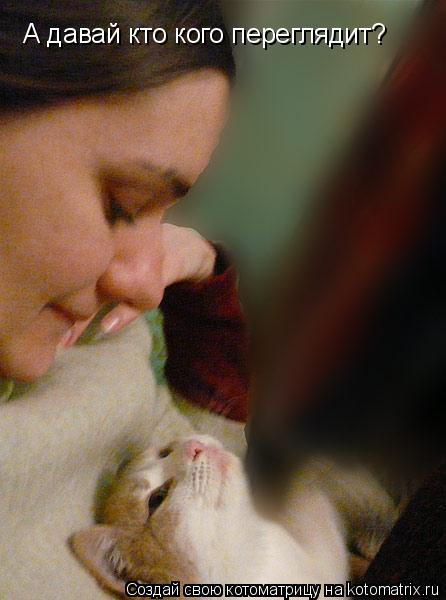 Котоматрица: А давай кто кого переглядит?