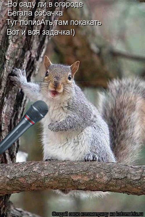Котоматрица: -Во саду ли,в огороде Бегала собачка Тут пописАть,там покакать Вот и вся задачка!)