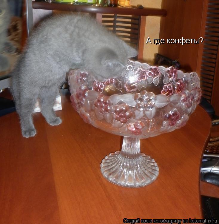 Котоматрица: А где конфеты?