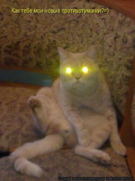 Котоматрица: Как тебе мои новые противотуманки?=)