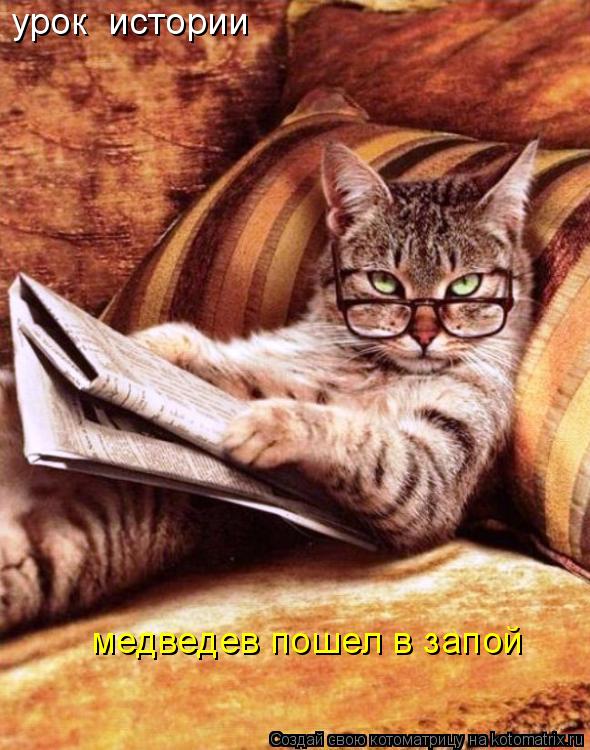 урок истории медведев пошел в запой... Котоматрица: урок истории медведев пошел в запой