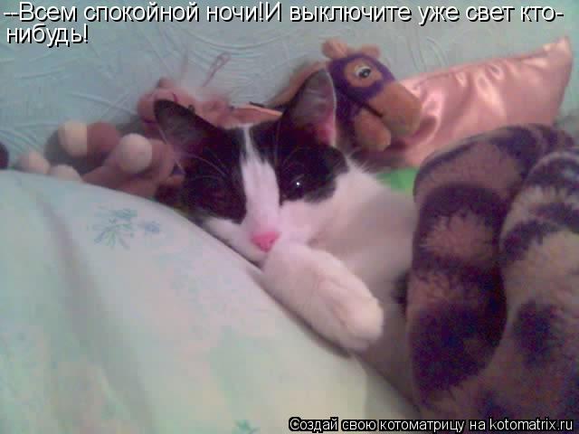 Котоматрица: --Всем спокойной ночи!И выключите уже свет кто- нибудь!