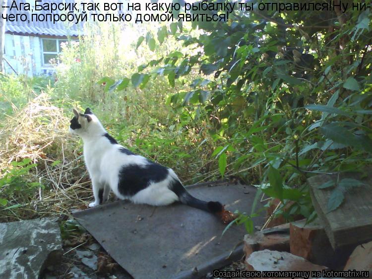 Котоматрица: --Ага,Барсик,так вот на какую рыбалку ты отправился!Ну ни- чего,попробуй только домой явиться!