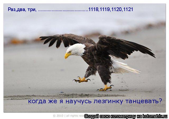 Котоматрица: Раз,два, три, .....................................1118,1119,1120,1121 когда же я научусь лезгинку танцевать?